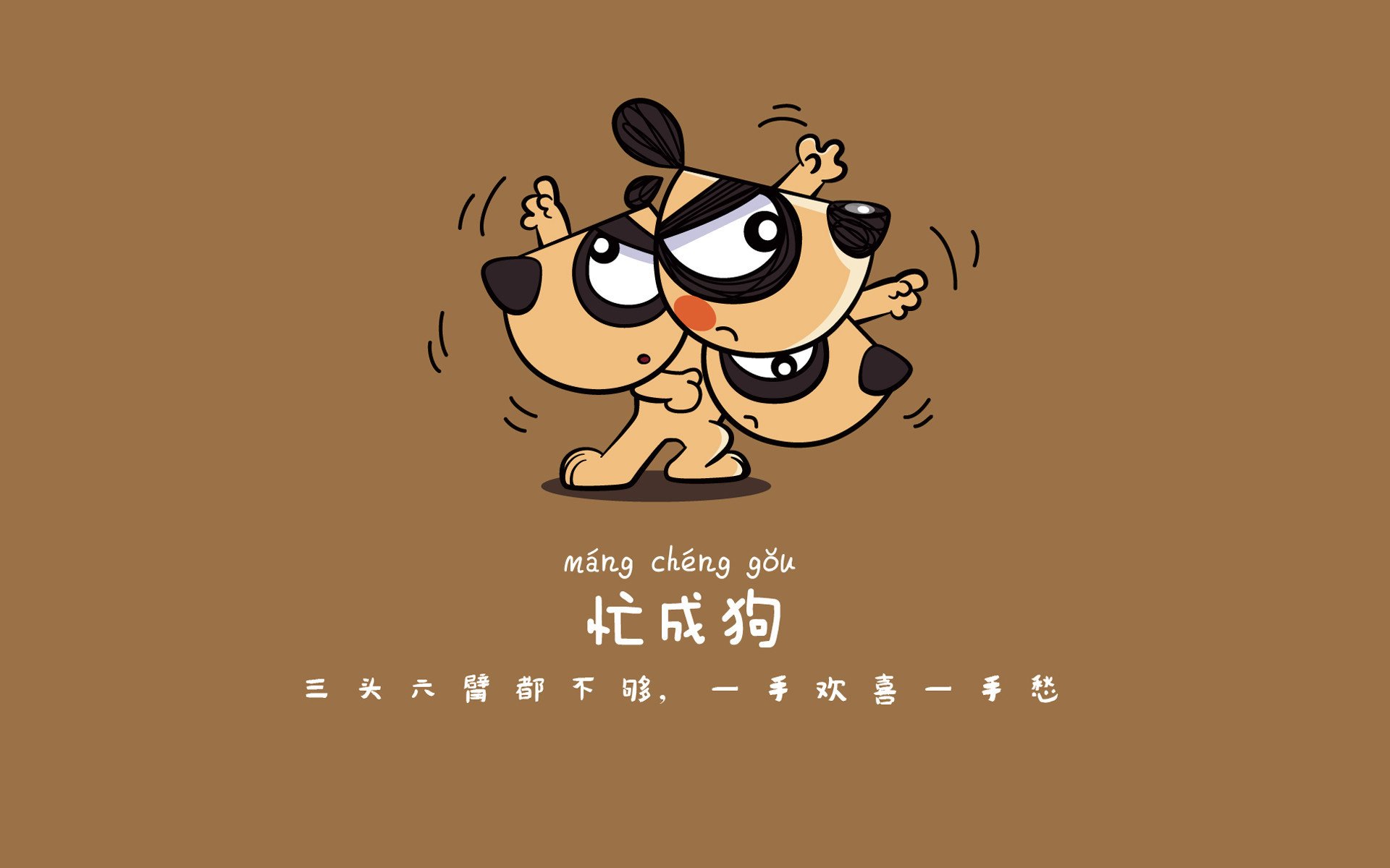 _奇才队攻防兼备，战绩持续提升_，奇才队百度百科