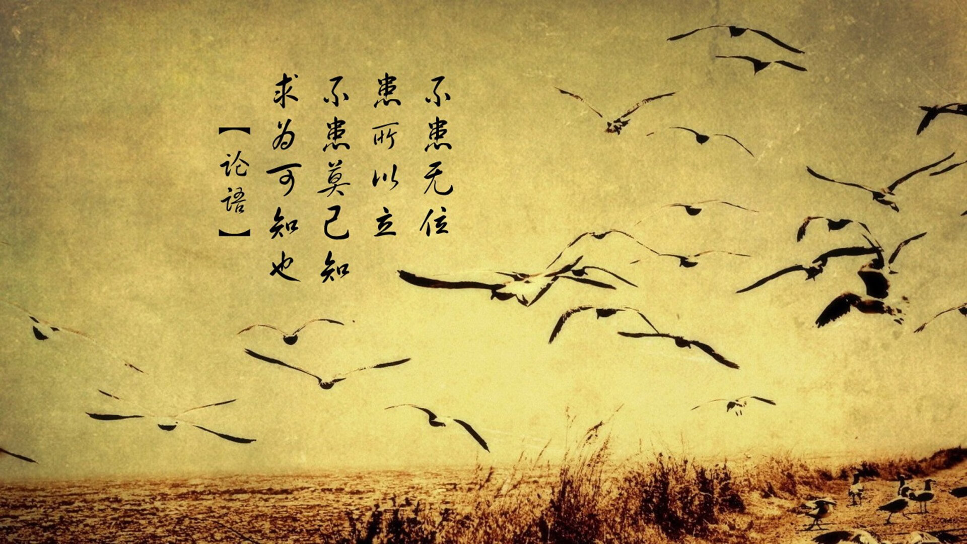 厄普顿取分不易，死守主场不败！，厄普肖一家百度百科