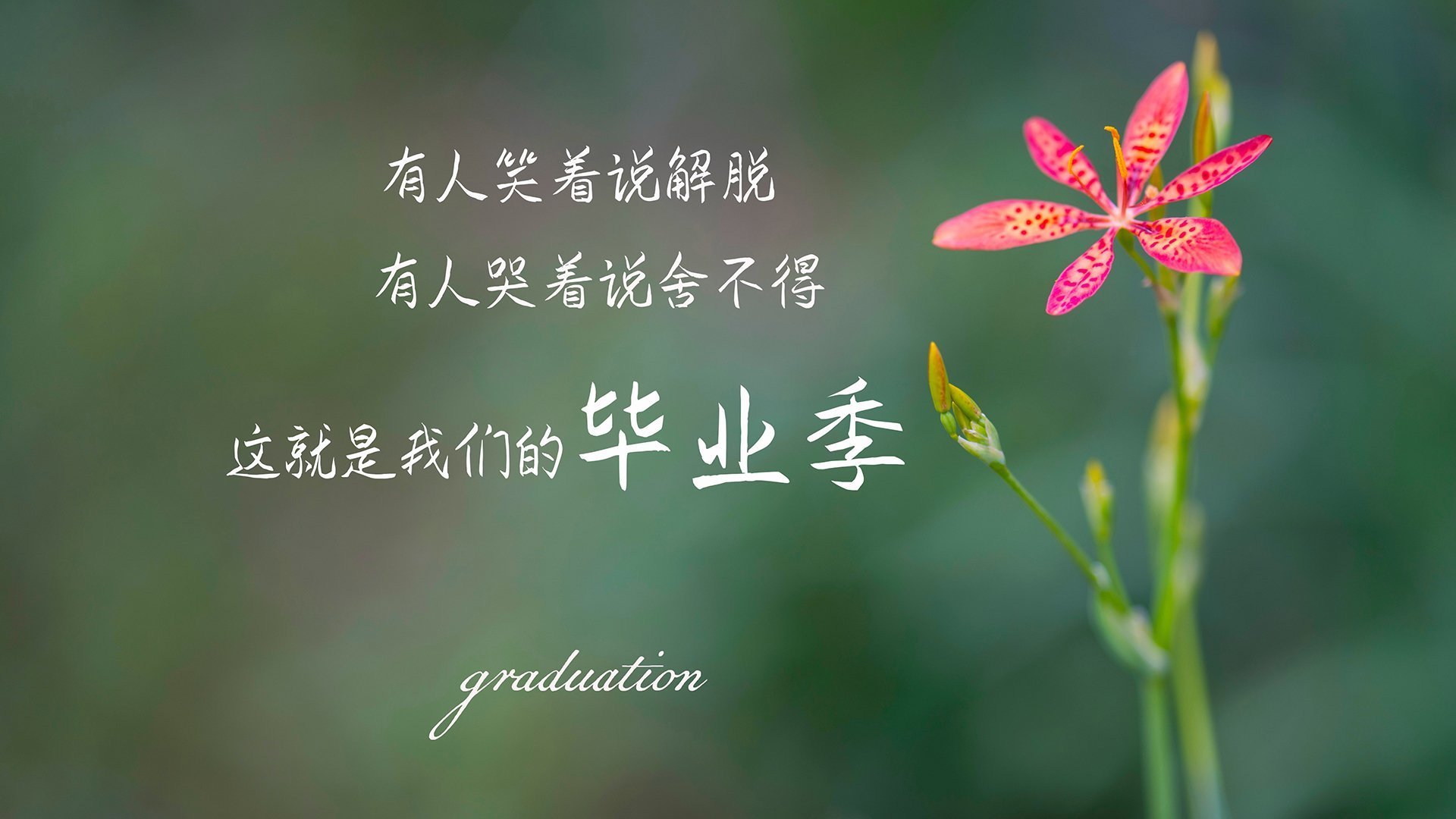 女足联赛关注度持续上升，女足上热搜