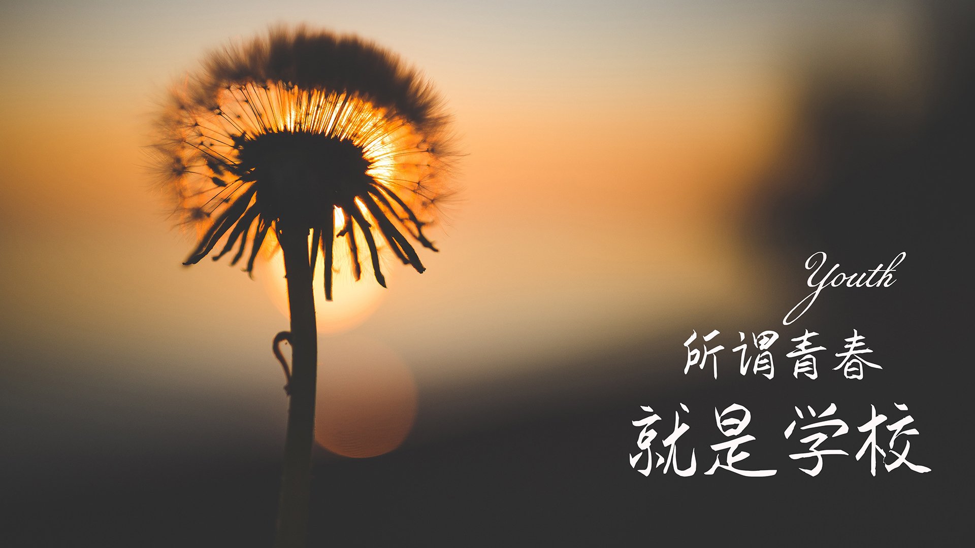 社交账号晒出队员幕后备战花絮引发球迷大量转发评论
