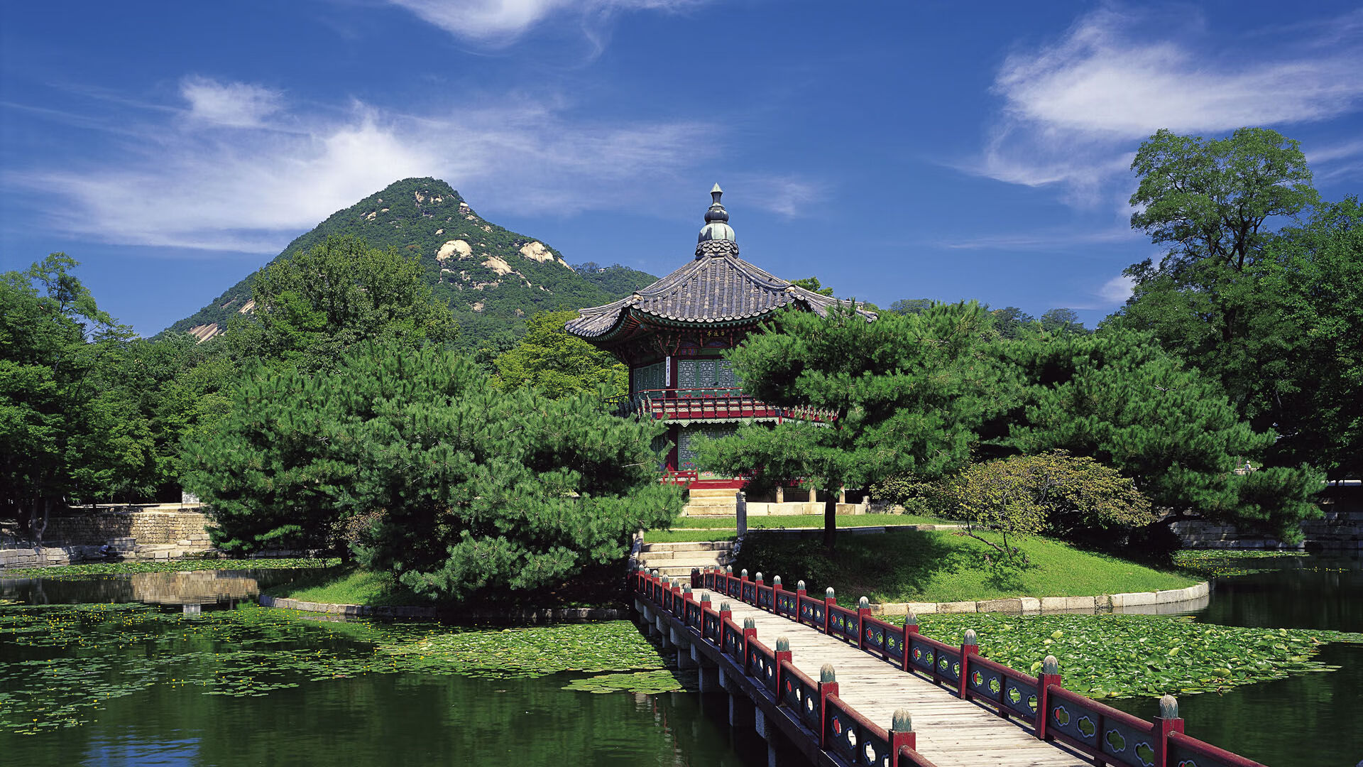 里根·史密斯决赛表现超出预期，里根 史密斯